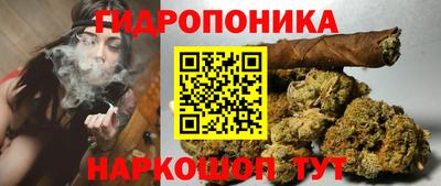крисы Краснознаменск