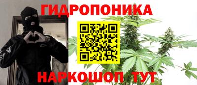 крисы Краснознаменск