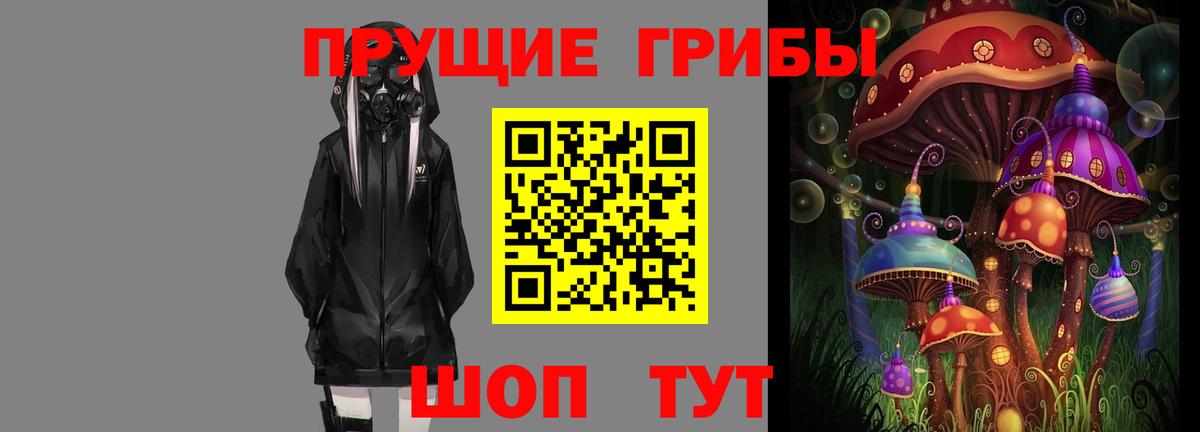 купить наркотики цена  Вход с VPN  Когалым  Галлюциногенные грибы прущие грибы  Галлюциногенные грибы Psilocybe 